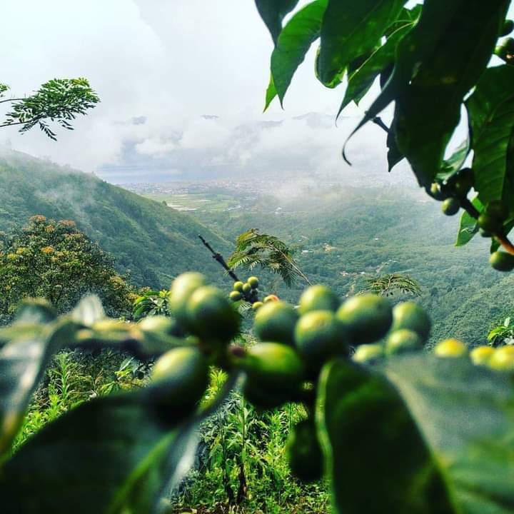 whatsapp image 2026 01 13 at 1.42.09 pm